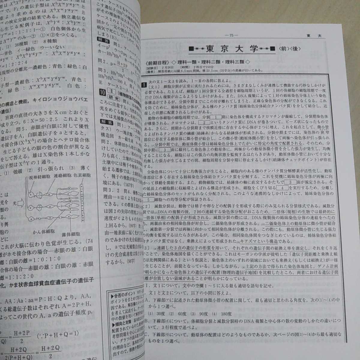 2009年受験用 生物 全国大学入試問題正解 旺文社 中古 大学受験 2009年受験用 生物 全国大学入試問題正解 旺文社 中古 大学受験