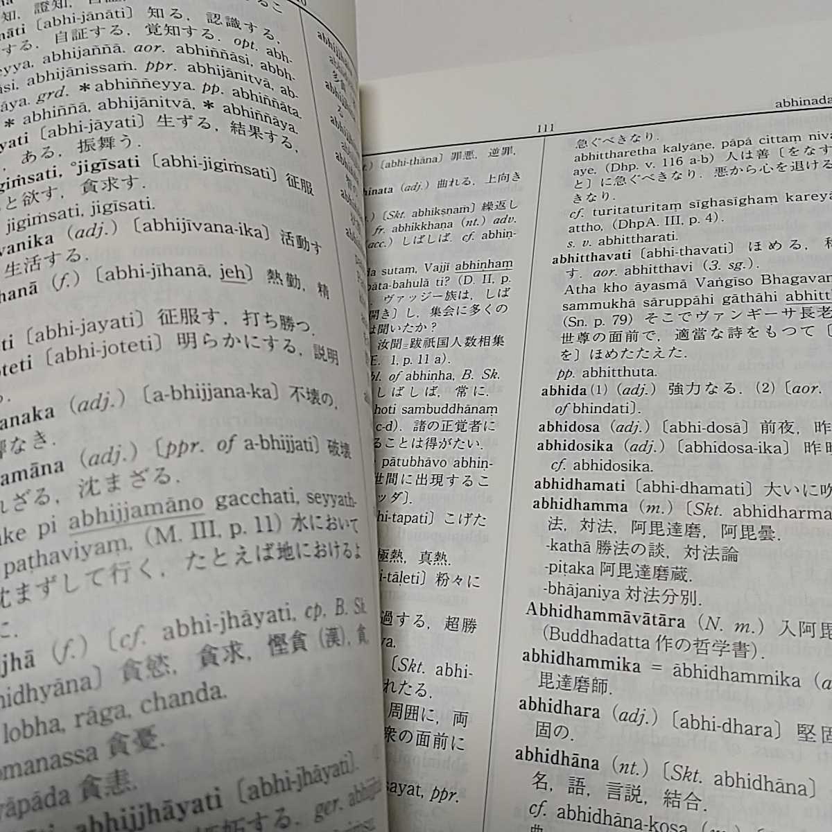 新版 パーリ語佛教辞典 雲井昭善 山喜房佛書林 外箱有 中古 40001F015