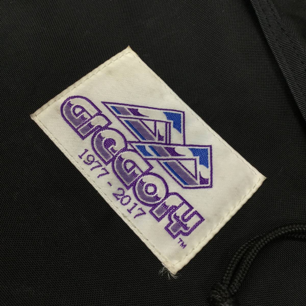 40 годовщина Gregory фиолетовый бирка переиздание Day Pack черный рюкзак 