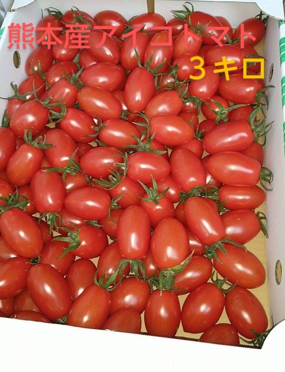 熊本産ミニトマト3キロ