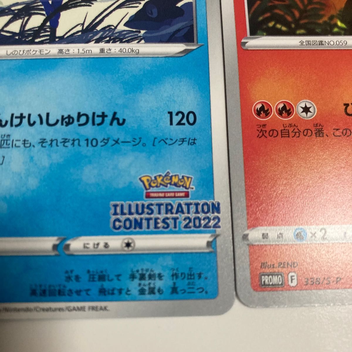 ポケモンカード ポケモンセンター限定 プロモカード フシギダネ ポケモンカード ポケモンセンター限定 プロモカード フシギダネ