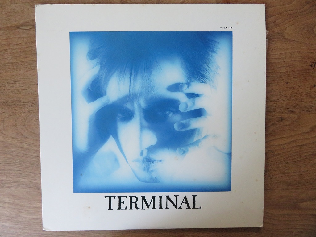 遠藤ミチロウ / TERMINAL / LP / レコード_画像1