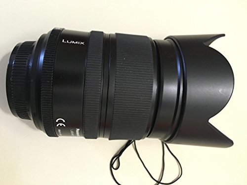 パナソニック 標準ズームレンズ フォーサーズ用 ライカ D VARIO