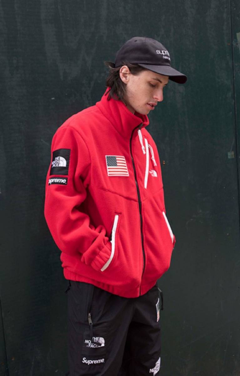 正規品販売! シュプリーム ノースフェイス 17ss フリース ブルー 青