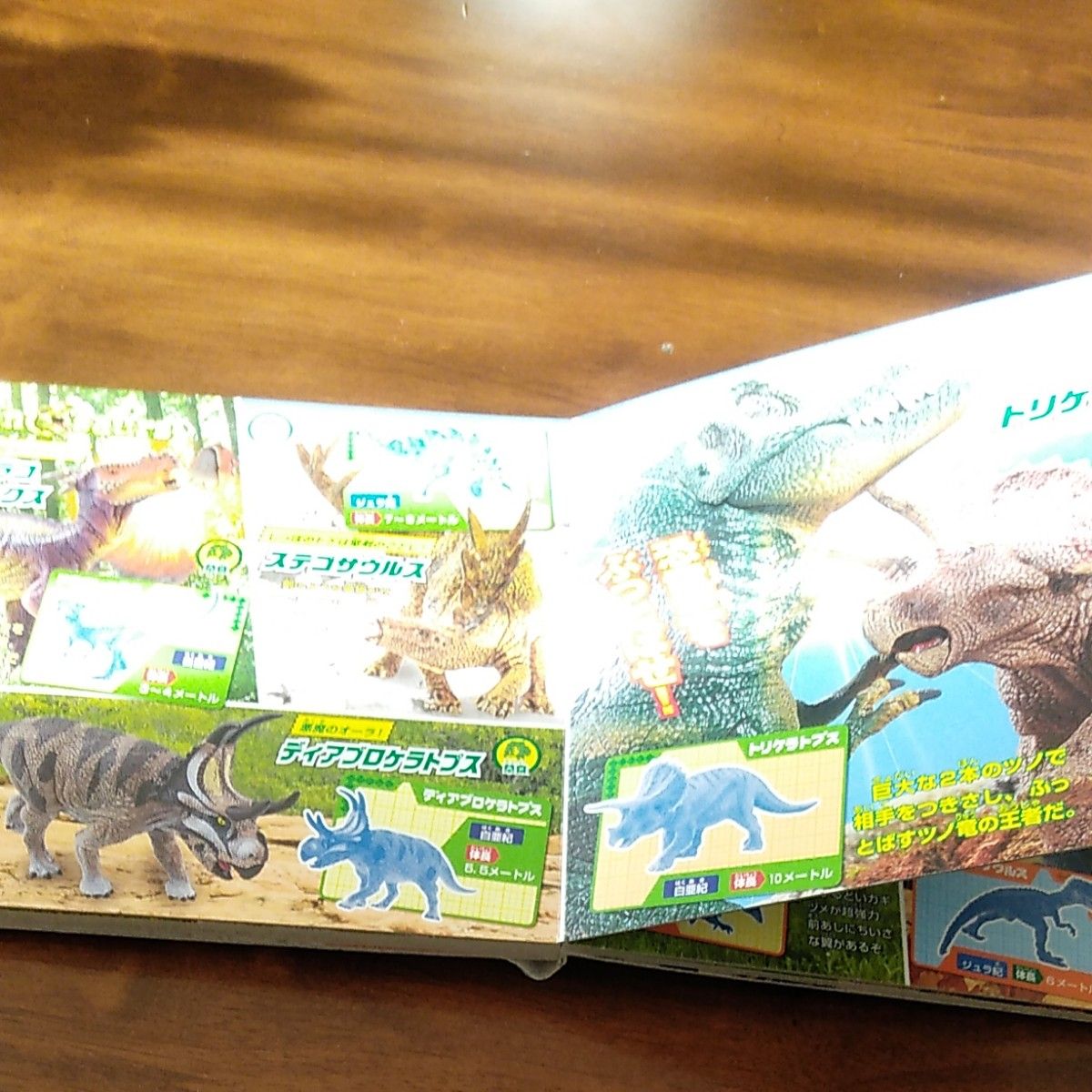 恐竜 怪獣 BOOK 迷路 絵本  男の子 女の子 子供服 キッズ  おもちゃ オモチャ  玩具 ブック