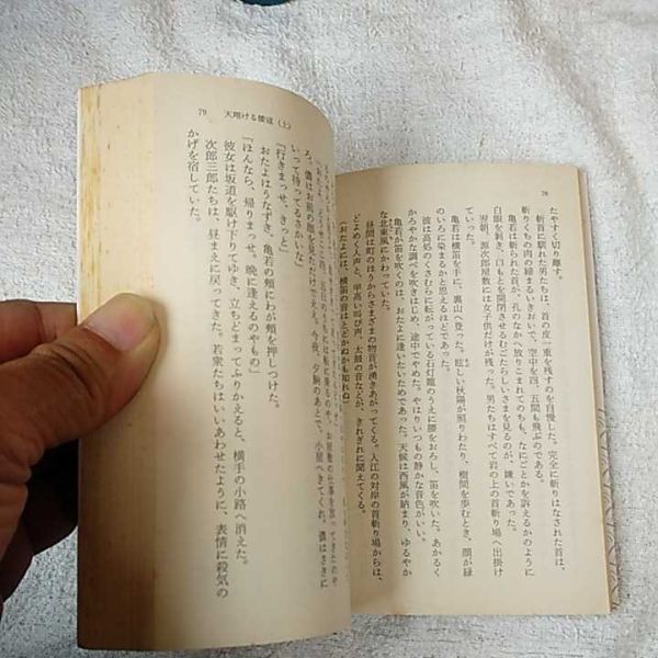 天翔ける倭寇〈上〉 (角川文庫) 津本 陽 訳あり ジャンク 9784041713068_画像8