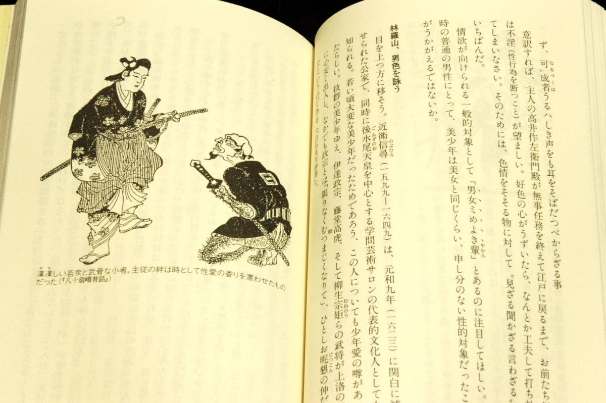 旧版■氏家幹人【武士道とエロス】講談社現代新書-1995年初版■武士たちの愛と絆を通して日本男性史を書きかえる_画像5