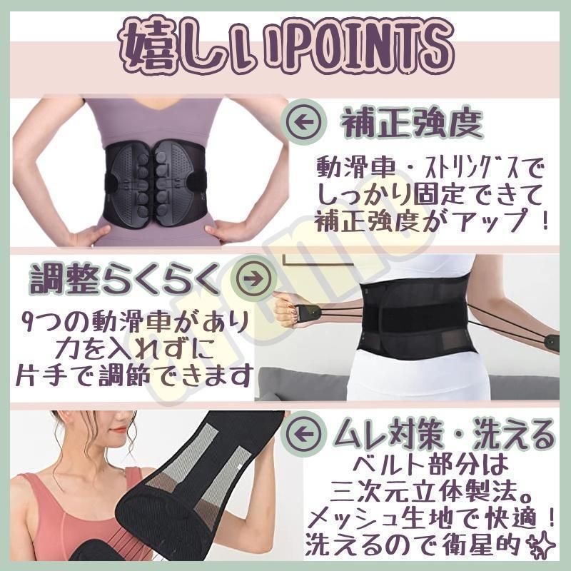 【最安値挑戦!】 腰痛ベルト Lサイズ ガードナーベルト類似品 mandhucollege.edu.mv