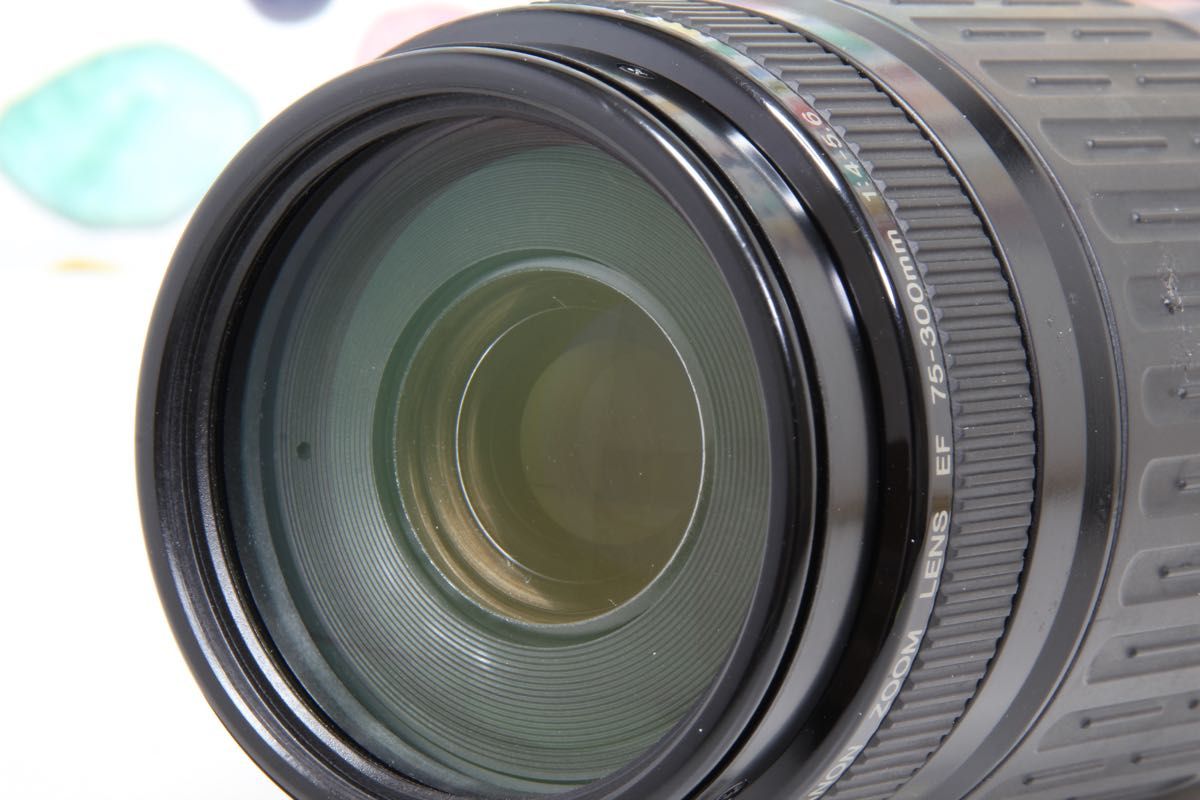 カメラ レンズ(ズーム) Canon キャノン 75-300mm 純正望遠レンズ 遠くが撮影したいと思ったら 