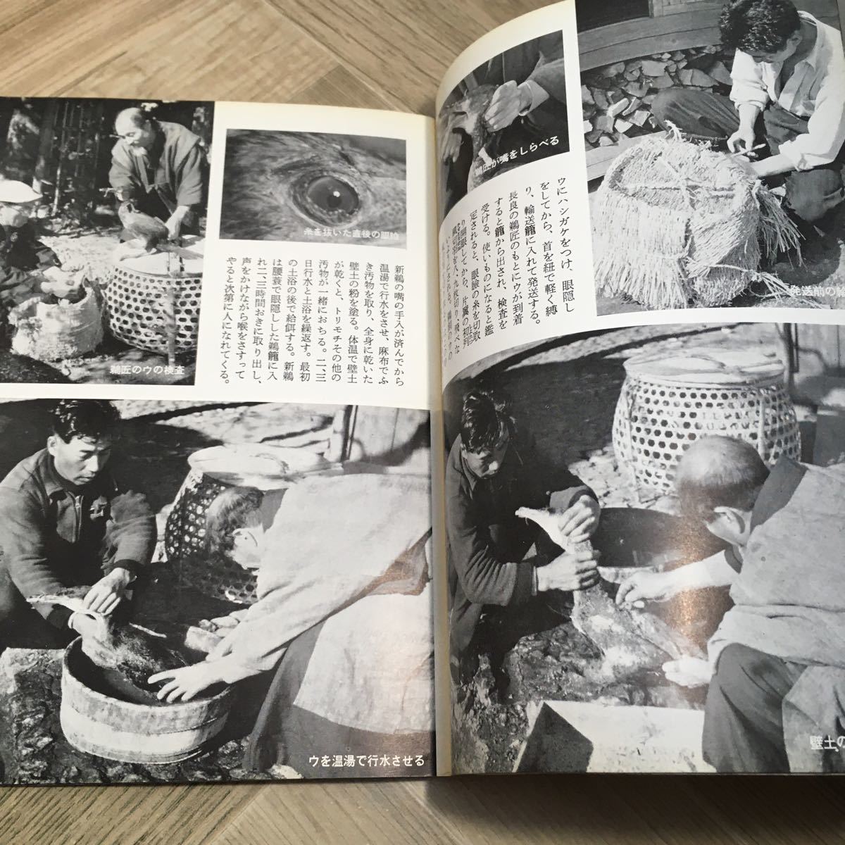 101c●岩波写真文庫229 鵜飼の話 1957年_画像6