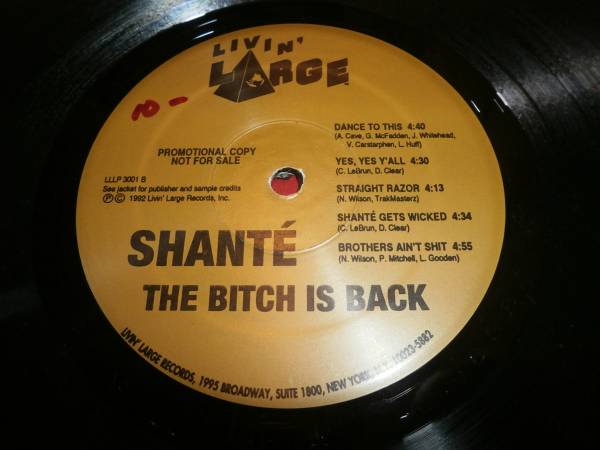 ROXANNE SHANTE / BITCH IS BACK /LP/RAGGA HIP HOP/90'S HIP HOP/90年代ヒップホップ/ブーンバップ_画像3
