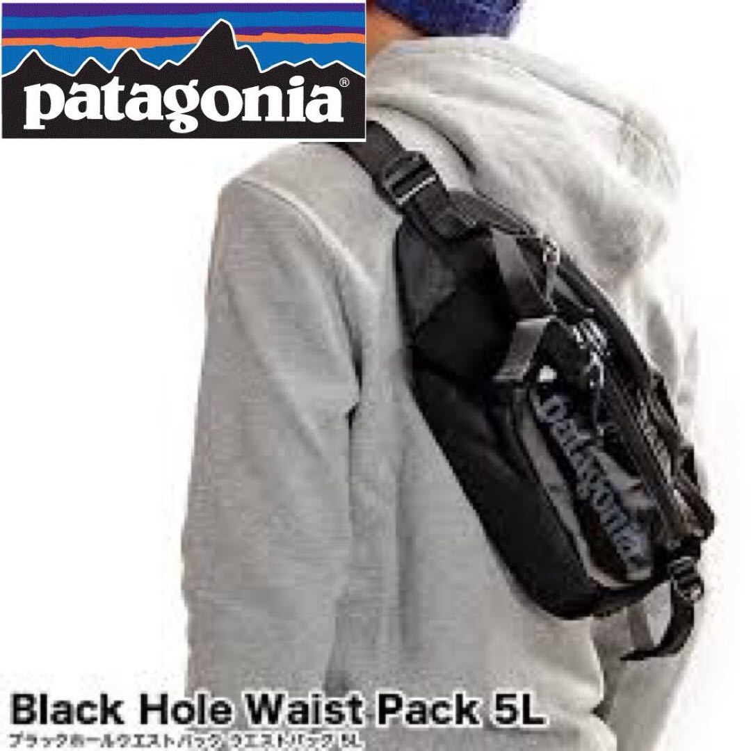 patagoniaブラックホール・ウエスト・パック5L - バッグ