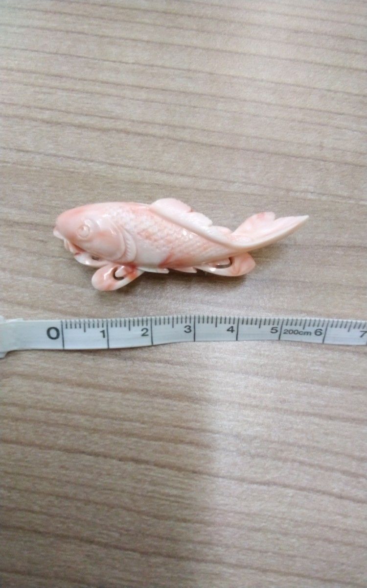 深海珊瑚 帯留め