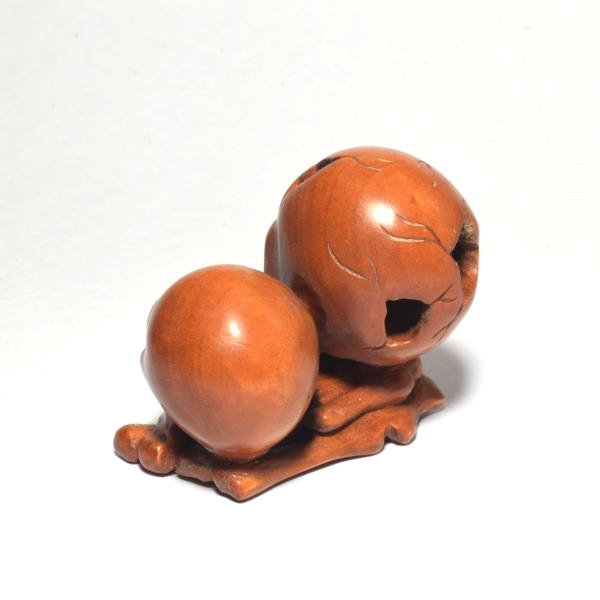  netsuke череп gaikotsu. растение гравюра товар из дерева скульптура товар na07-a2-18