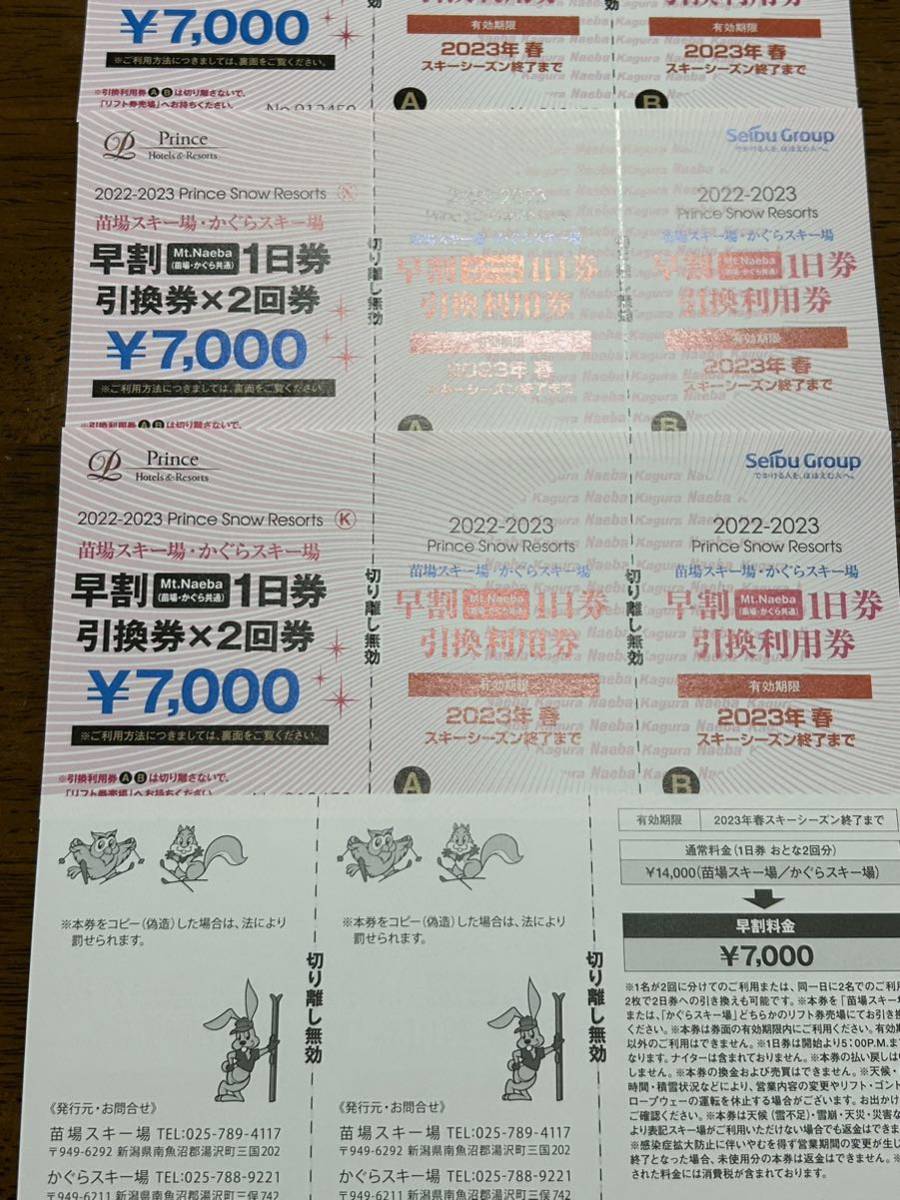 苗場・かぐら共通リフト券(2枚) ウィンタースポーツ | jstochigi.org