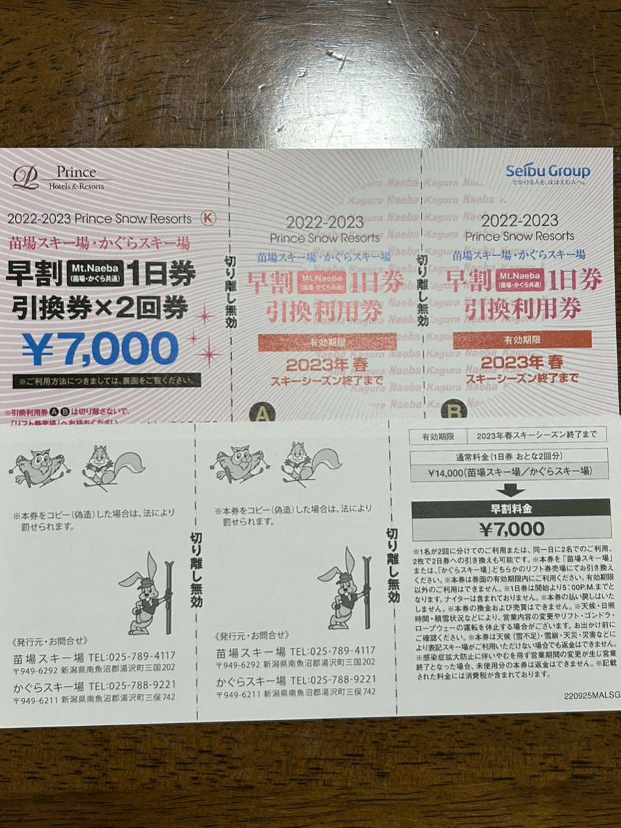苗場・かぐら共通リフト券(2枚) ウィンタースポーツ | jstochigi.org
