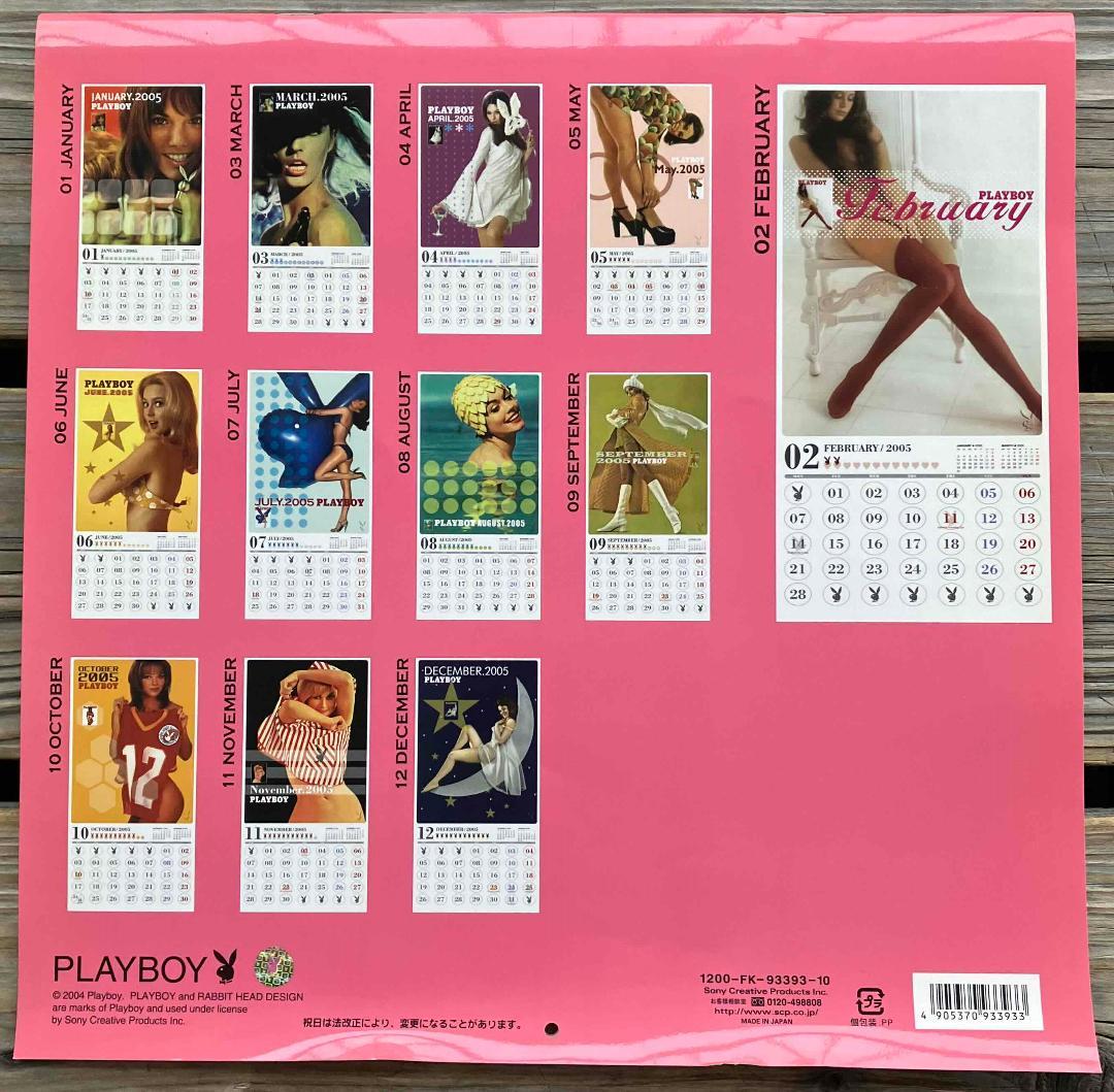 【送料込】playboy 2005 calendar 輸入品_画像2