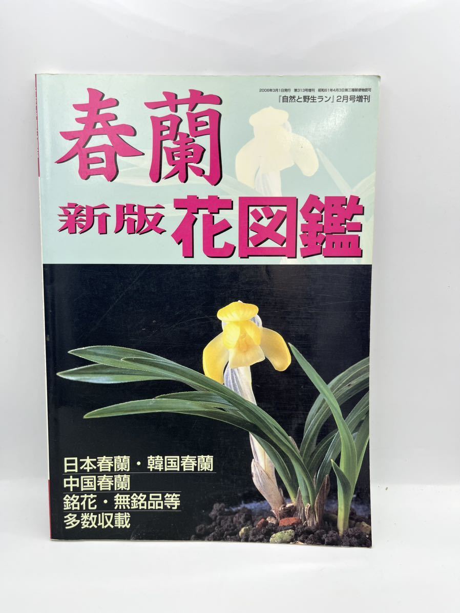  весна орхидея цветок иллюстрированная книга China Корея весна орхидея новый версия цветок иллюстрированная книга природа .. сырой Ran 