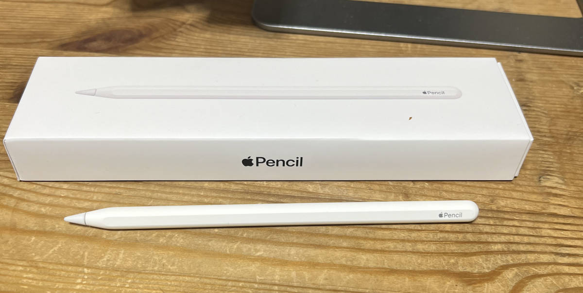 iPad Pro 11インチ Wi-Fi 128GB スペースグレイ 2022年モデル M2チップ Apple Pencil （第2世代）付き 美品
