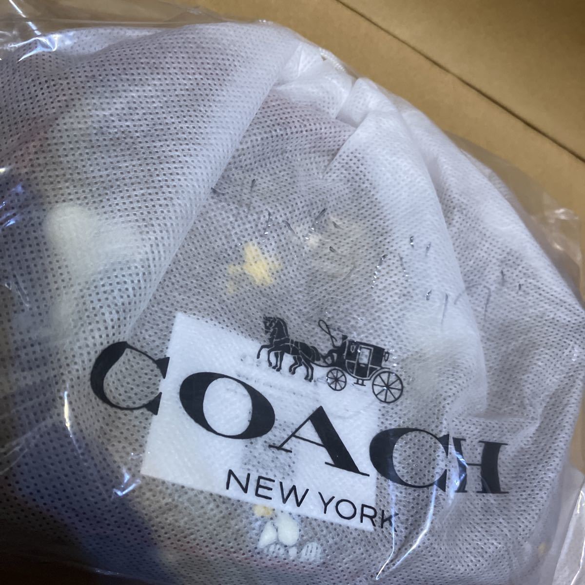 送料込●新品●COACH X PEANUTS スヌーピー ミニボディバッグ② カメラバッグ シグネチャー 2022.10新作 ピーナッツ コーチメンズ_画像10