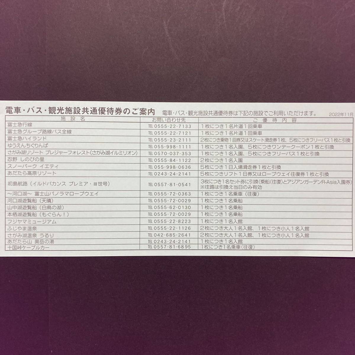◇限定Special Price 富士急ハイランド フリーパス引換券 チケット2枚