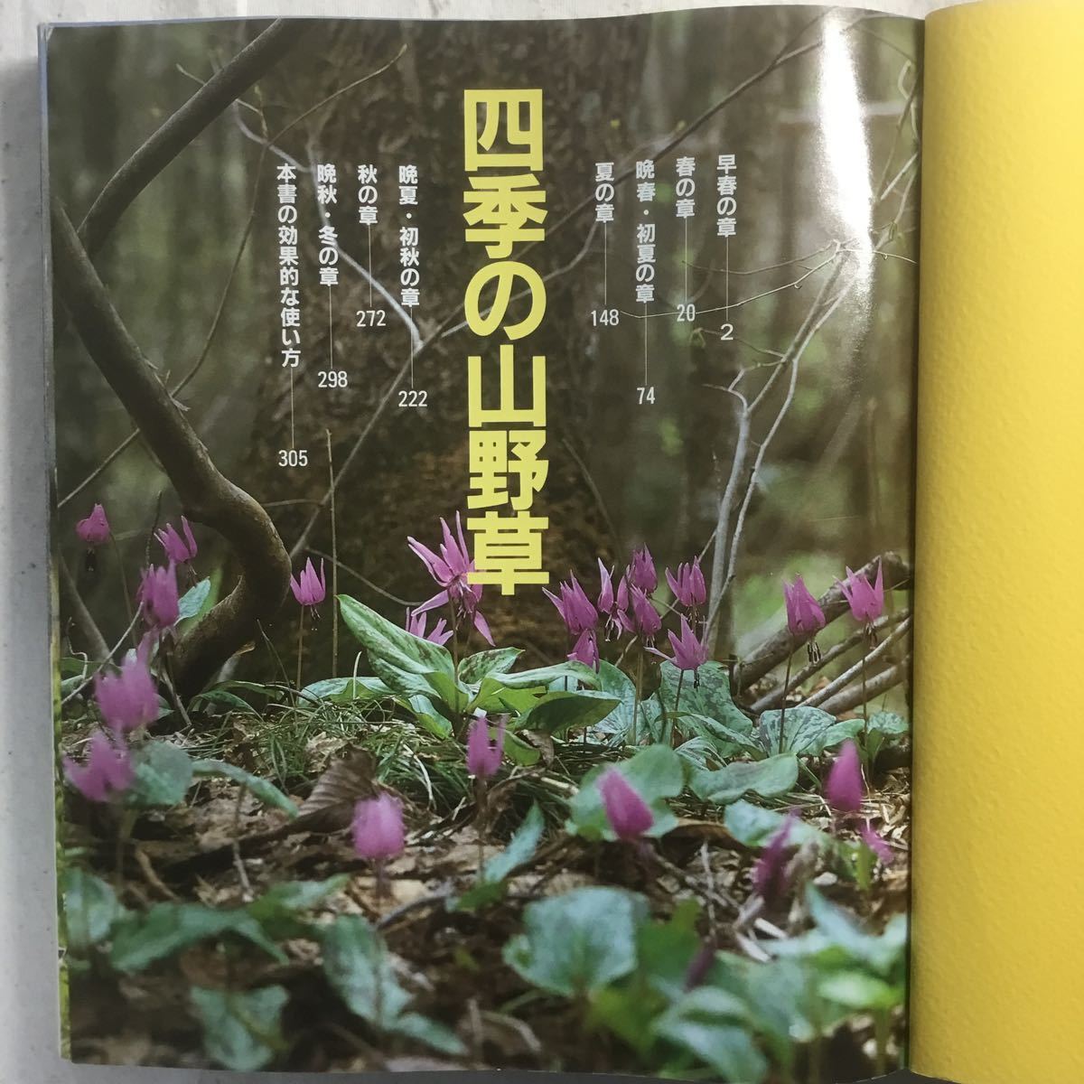 H3-120 四季の山野草 花の咲く季節で分類・薬効・食べ方・果実酒のやさしい解説つき 1983年10月1日初版発行 1990年2月10月23刷発行★折れ有_画像4