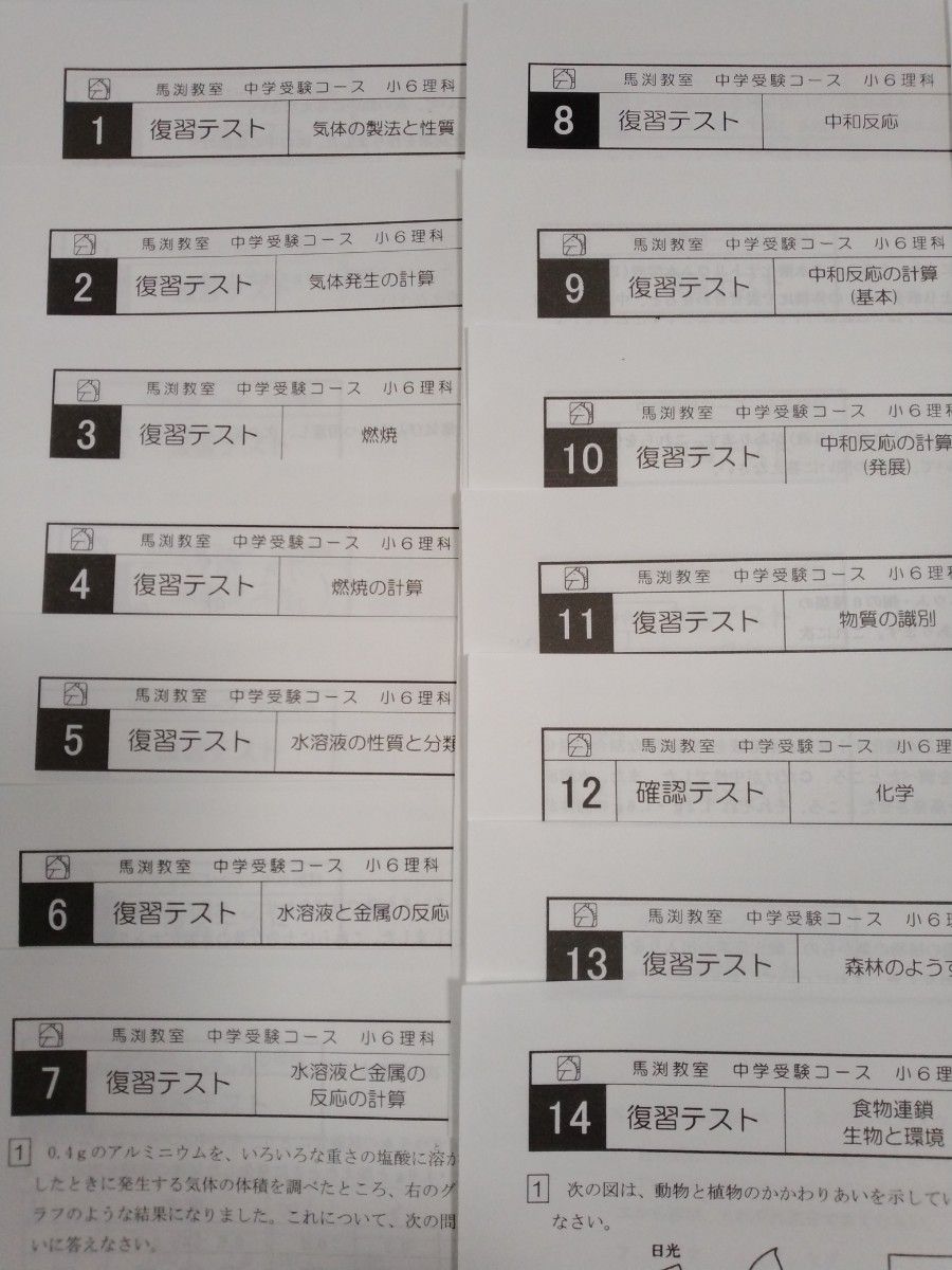 中学受験　馬渕教室　6年　理科　直前特訓　テキスト　プリント 馬渕教室 小6 中学受験コース 理科テキスト通年セット 2023 計8