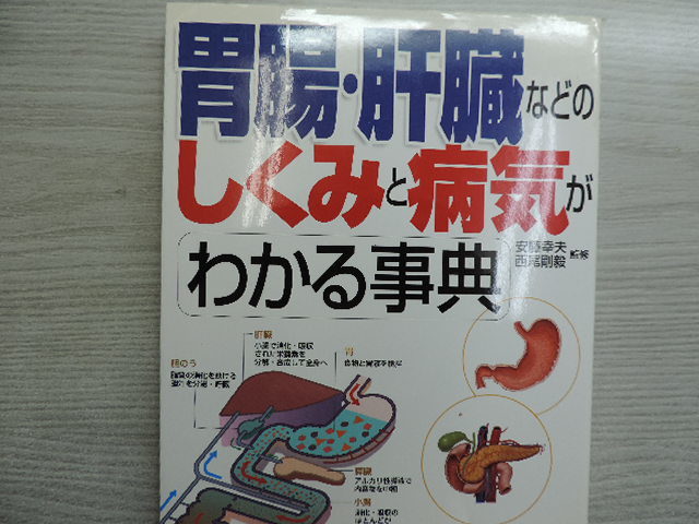 １円スタート　★胃腸・肝臓などのしくみと病気がわかる辞典★　　成美堂出版　　定価：本体１４００円＋税　　中古本_画像1