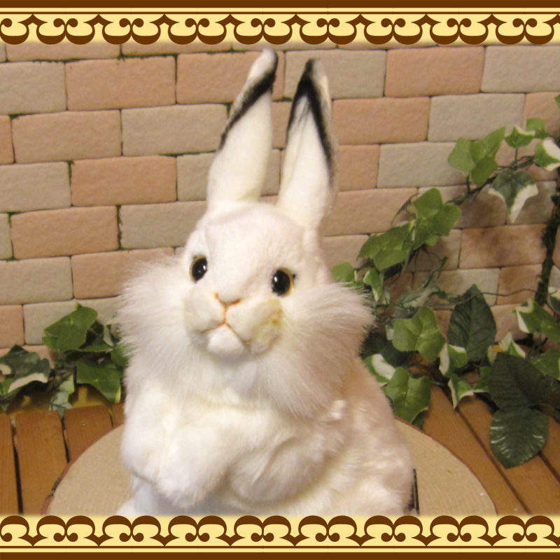  on a grand scale . real . rabbit. soft toy ..... white rabbit objet d'art interior ba knee small animals animal ....