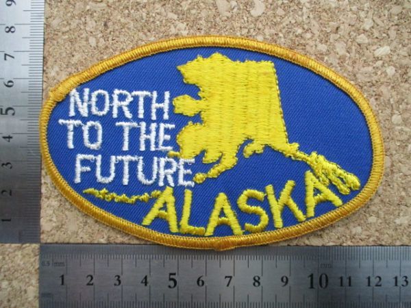 70s ALASKA アラスカ NORTH TO THE FUTUREワッペン/北から未来へ地図くまビンテージ旅行ジョークVintage大陸スーベニアPATCH土産USA D6の画像8