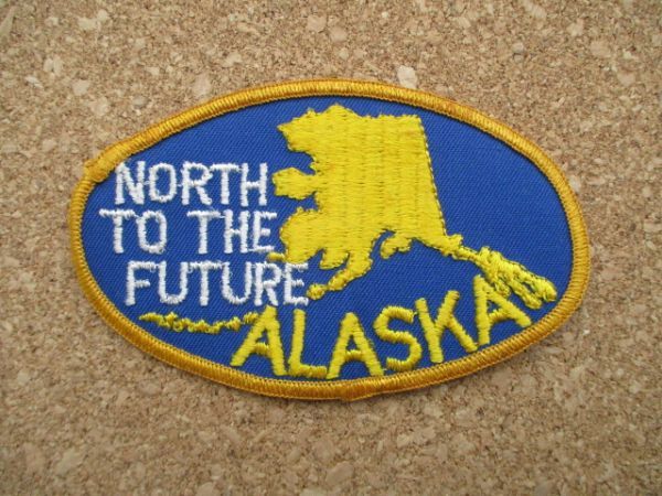 70s ALASKA アラスカ NORTH TO THE FUTUREワッペン/北から未来へ地図くまビンテージ旅行ジョークVintage大陸スーベニアPATCH土産USA D6_画像1