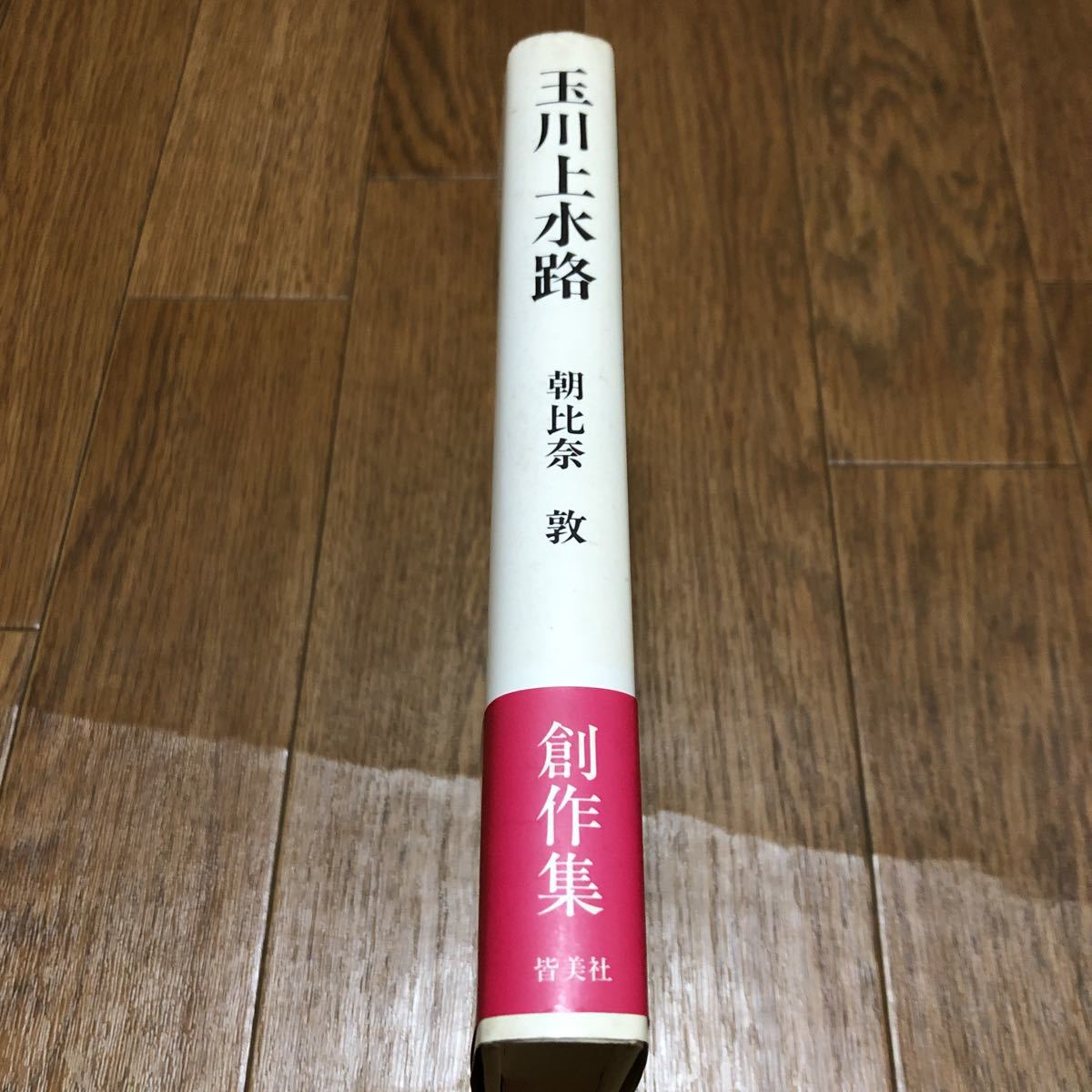 創作集 玉川上水路 朝比奈敦 皆美社 私小説寝台急行天の川 恵美さんの得度式 他 送料無料