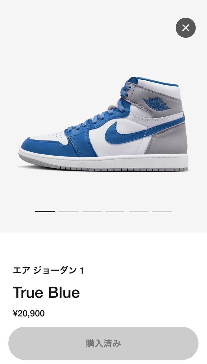 NIKE AIR JORDAN 1 RETRO HIGH OG TRUE BLUE US10.5/28.5cm 2023/1/14発売 SNKRS購入 国内正規,黒タグ付 エア ジョーダン トゥルー ブルー