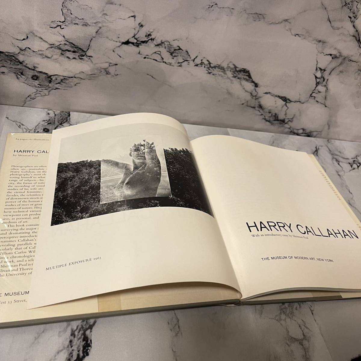洋書 写真集 HARRY CALLAHAN 古本/芸術/美術/アート/写真芸術 HA_2301