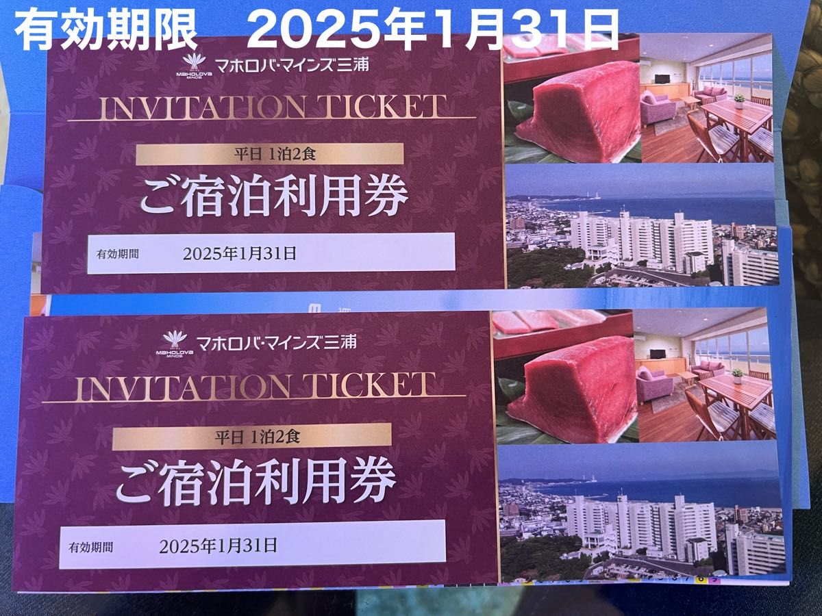 マホロバ・マインズ三浦 2枚 1泊2日 宿泊利用券 有効期限2025年1月31日