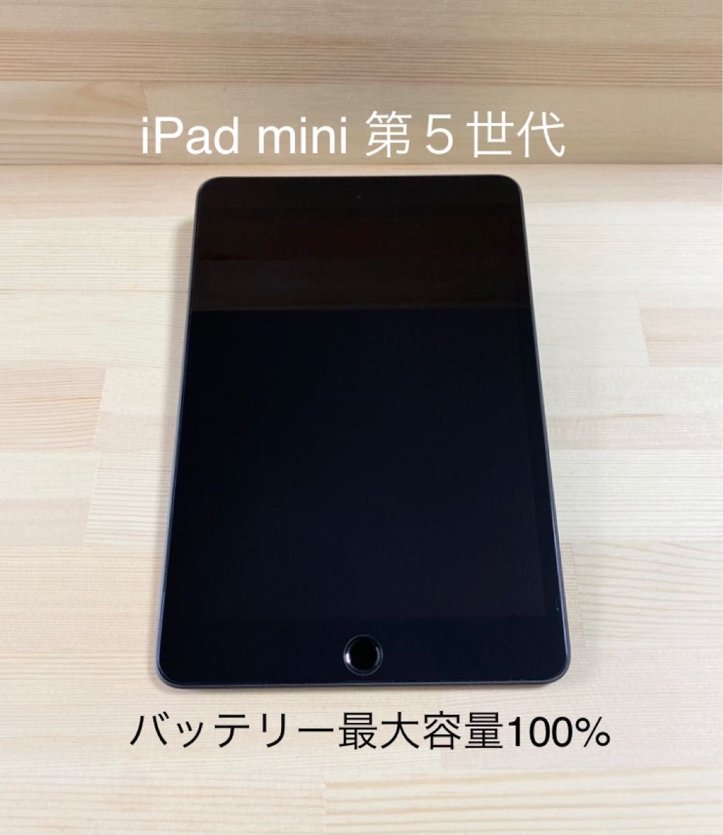 絶妙 Apple Wi-Fi+Cellular(セルラー) スペースグレイ / 【新品同様