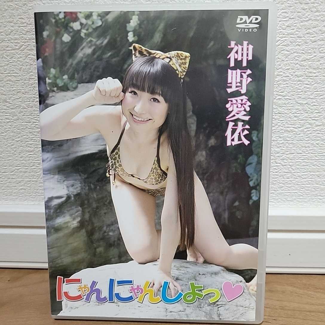 神野愛依 / にゃんにゃんしょっ DVD _画像1