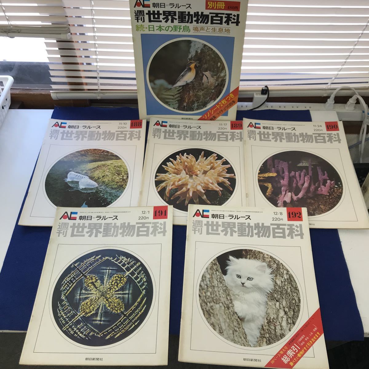 朝日=ラルース 週刊世界動物百科 カバーあり 1-51 71-134 | biaxial