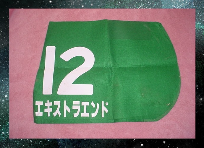 ** horse racing actual use number extra end Tokyo newspaper cup (GⅢ)