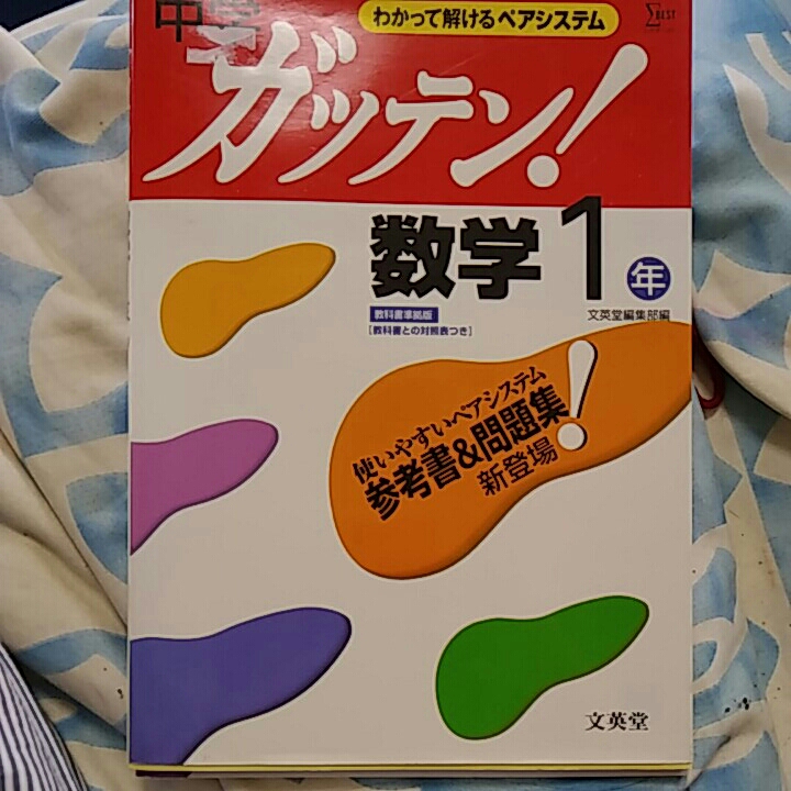 【1】中古●中学数学1年●問題集●_画像1