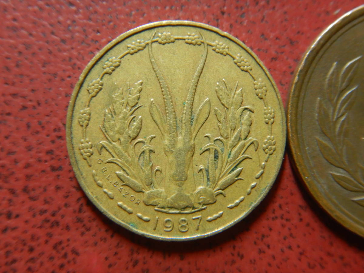 外国・西アフリカ諸国／５フラン・アルミニウムニッケル青銅貨（1987年） 230116の画像2