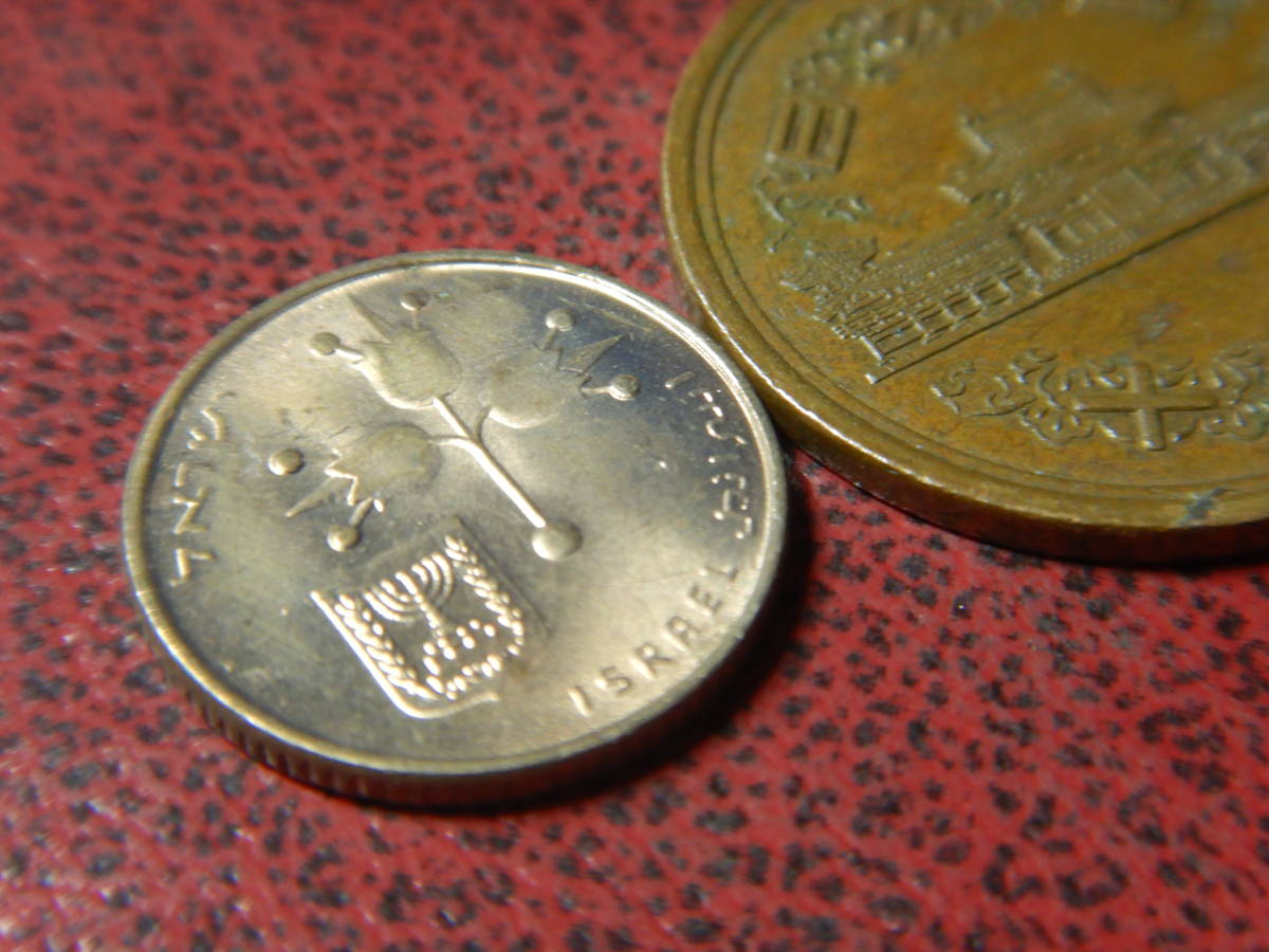 外国・イスラエル／１０アゴロット・ニッケル黄銅貨（1983年） 21090502の画像3
