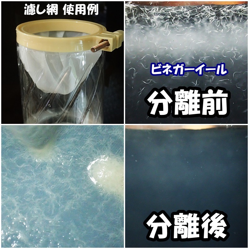 【送料込】ビネガーイール 種水 約100ml（50ml 2個）、濾し網とスポイト付  メダカ 針子の餌 培養液 水槽用品の画像3
