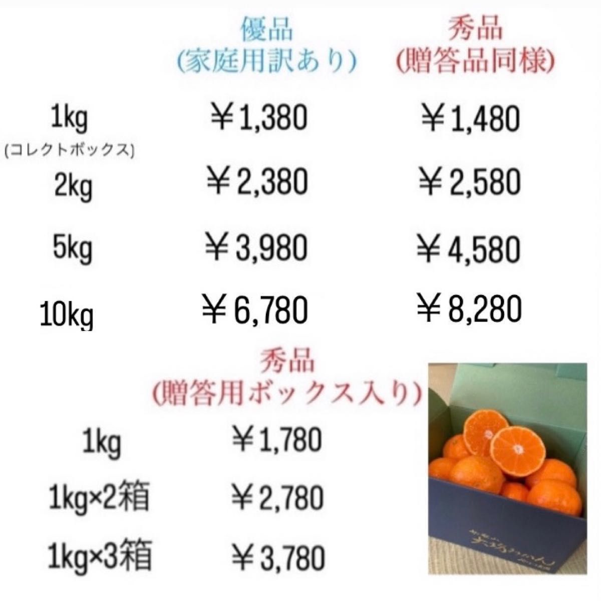 3、温州みかん 樹熟大坊みかん、秀品(贈答品同様)10kg 果物 3、温州みかん 樹熟大坊みかん、秀品(贈答品同様)10kg 果物
