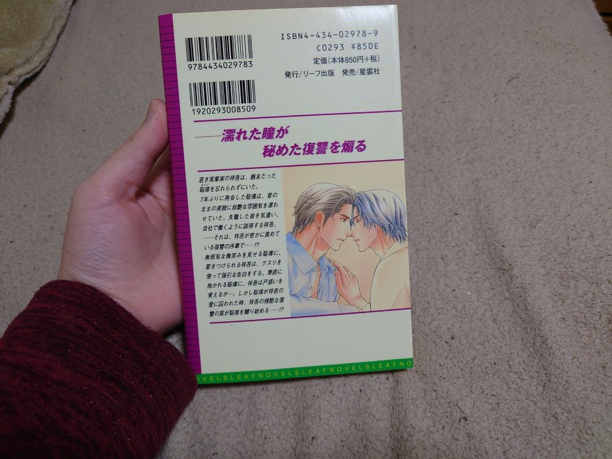 まなざしに縛られて　BL小説　あすま理彩　リーフ出版