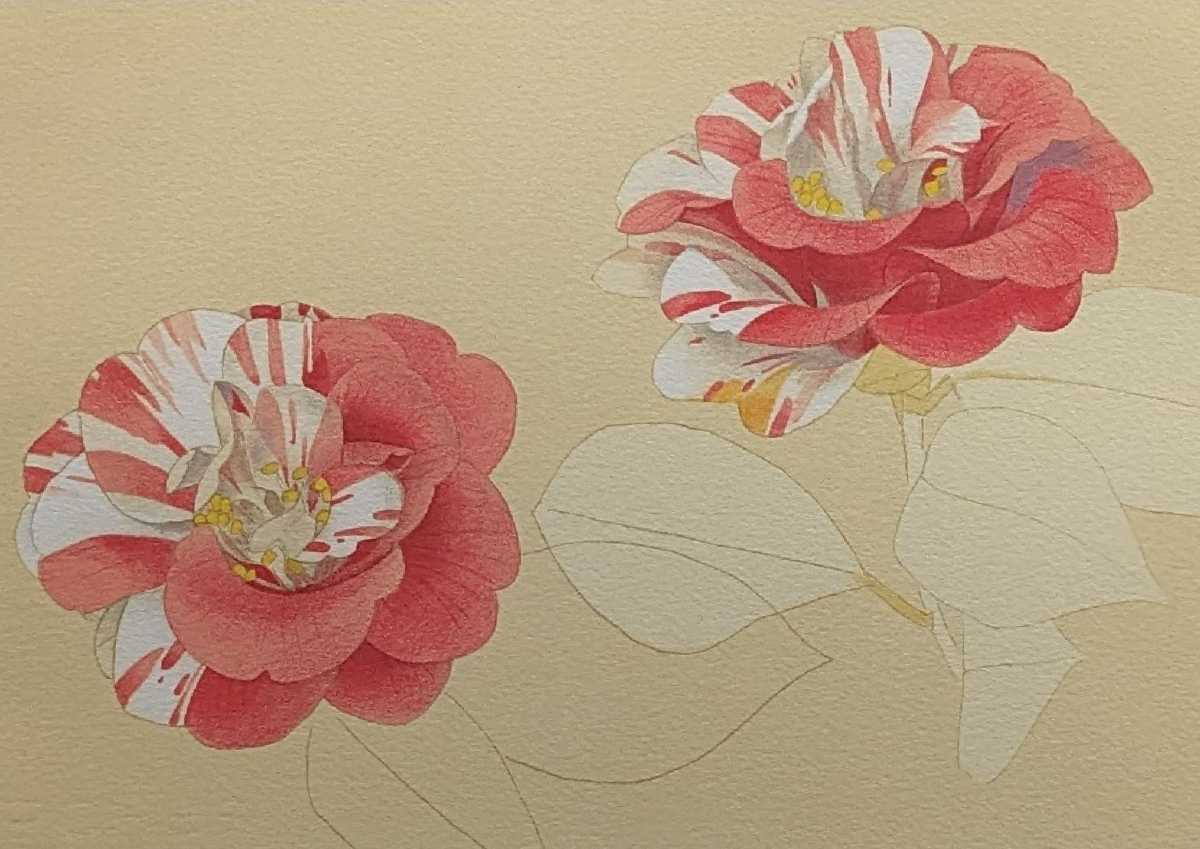 額付】上村松篁「椿」【作家直筆サイン】|Yahoo!フリマ(旧 額付】上村松篁「椿」【作家直筆サイン】|Yahoo!フリマ(旧