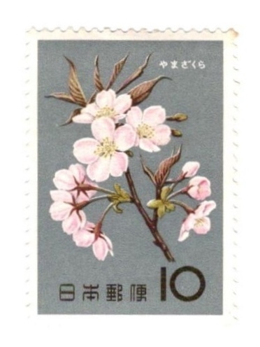 1961年 花シリーズ ヤマザクラ 記念切手 10円の画像1