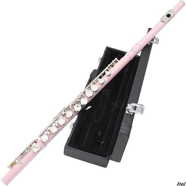 楽器 音楽 フルート 趣味 軽量 木管楽器 セット クリーニングクロス