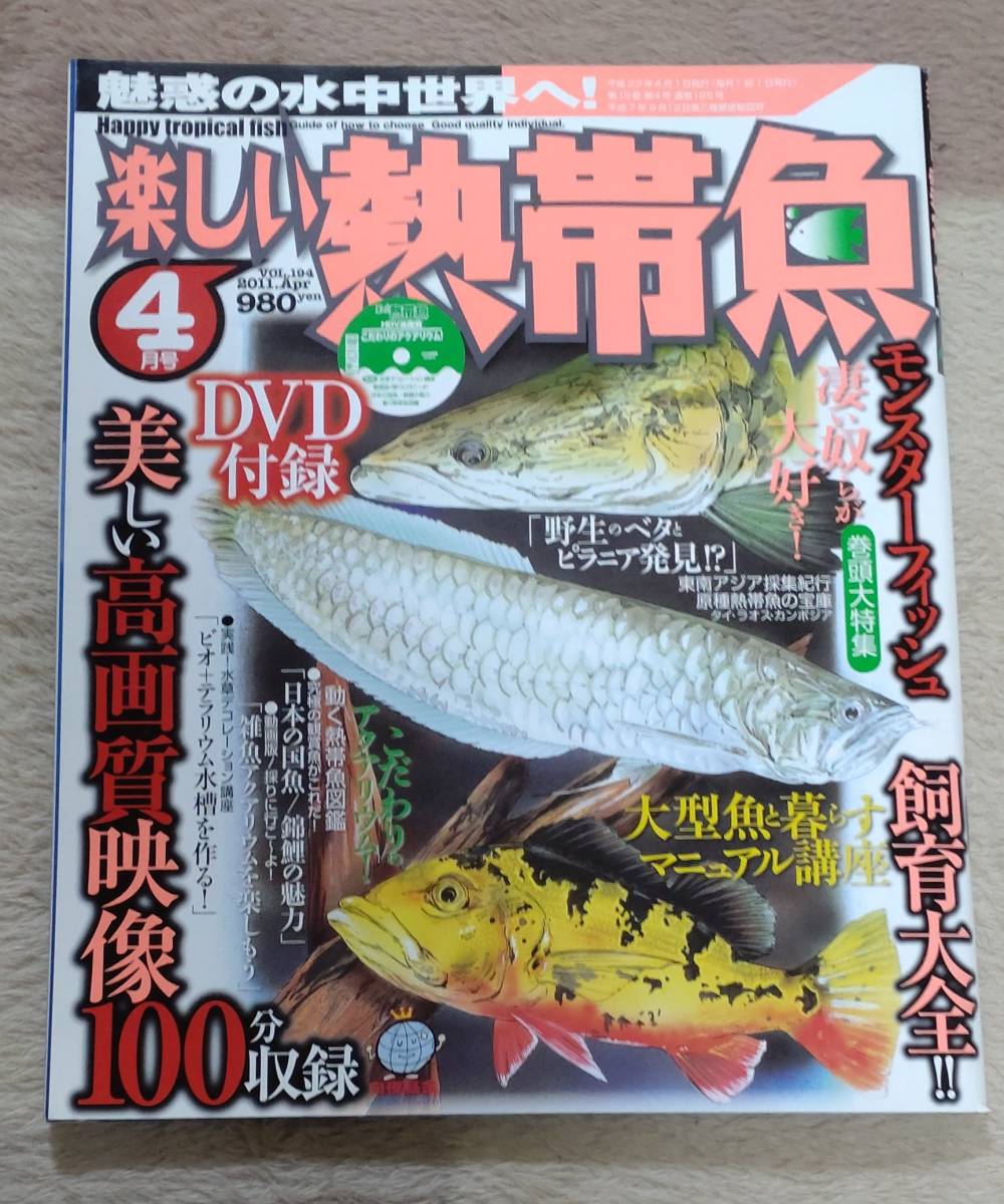  國魚錦鯉  DVD 
