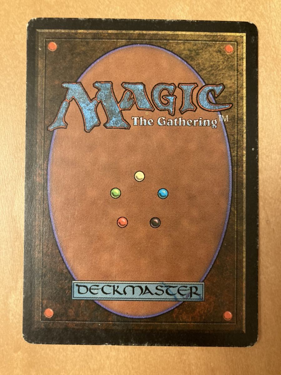 3ED Savannah MTG 1枚 プレイド | www.bauen.com.ar